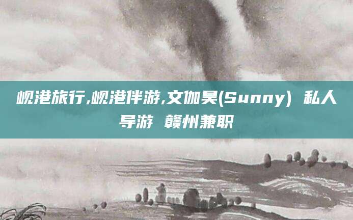 如皋岘港旅行,岘港伴游,文伽昊(Sunny) 私人导游 赣州兼职