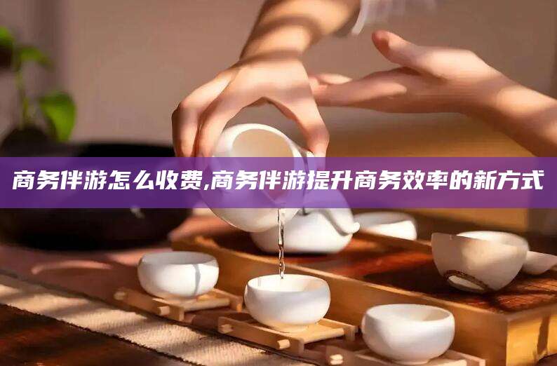 如皋商务伴游怎么收费,商务伴游提升商务效率的新方式